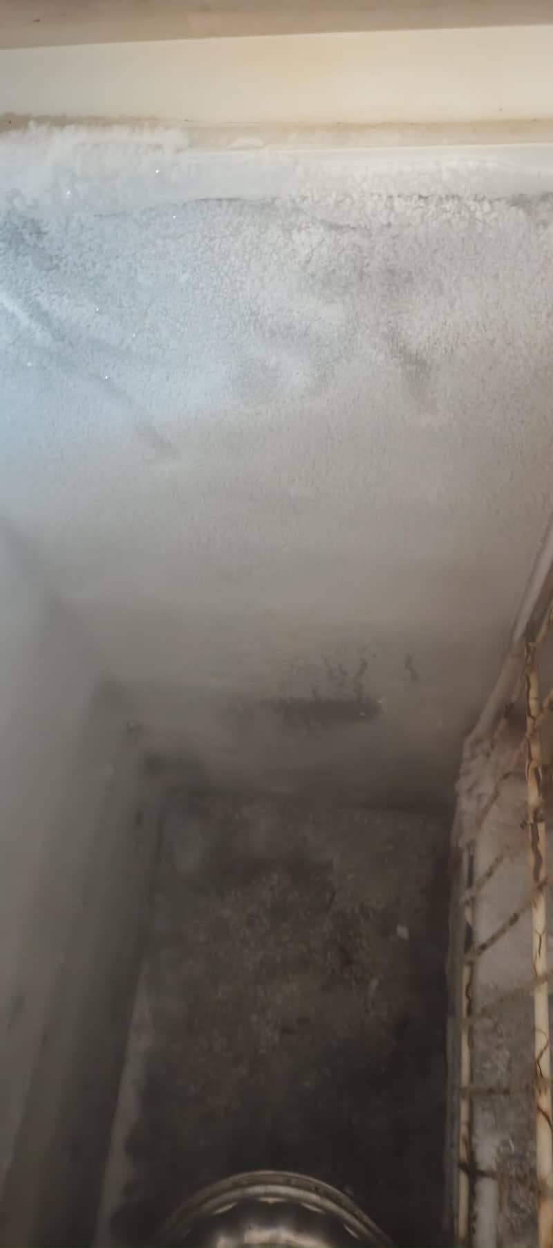 deep freezer 1