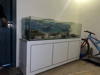 Aquarium