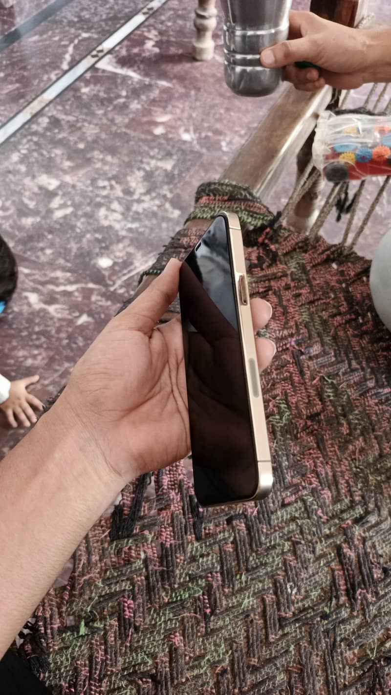 Apple iPhone 12 Pro Max 1