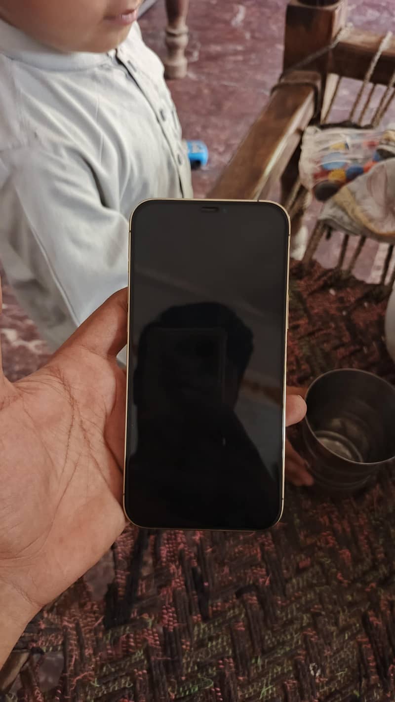 Apple iPhone 12 Pro Max 2