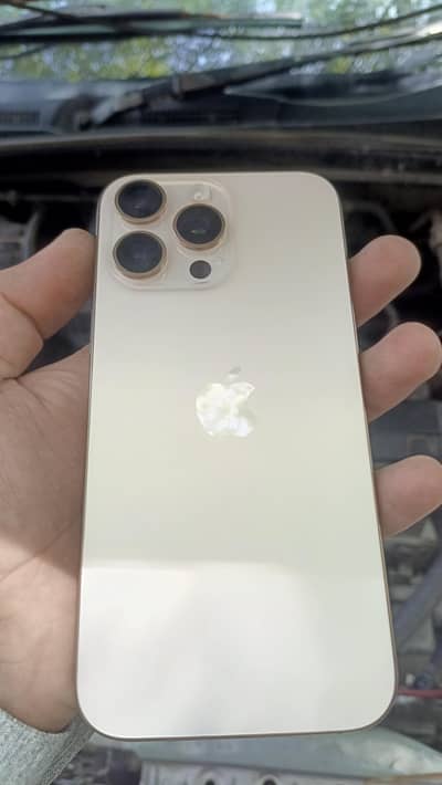 Apple iPhone 16 Pro Max