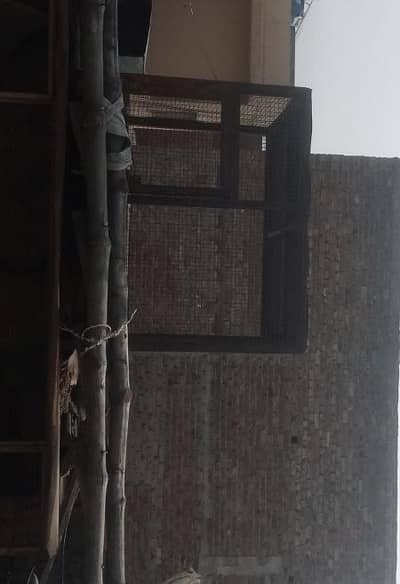 new cage hai bahut bhari hai order pe banwaya tha