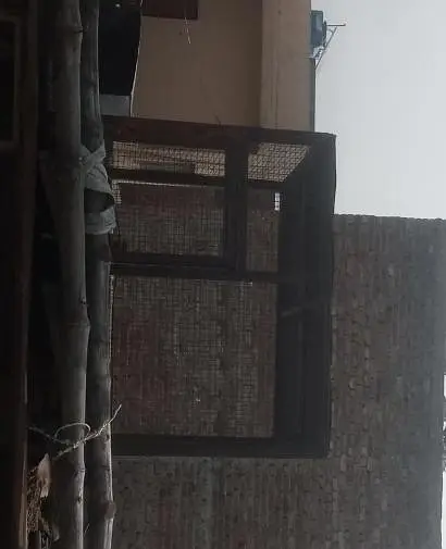 new cage hai bahut bhari hai order pe banwaya tha — photo 2