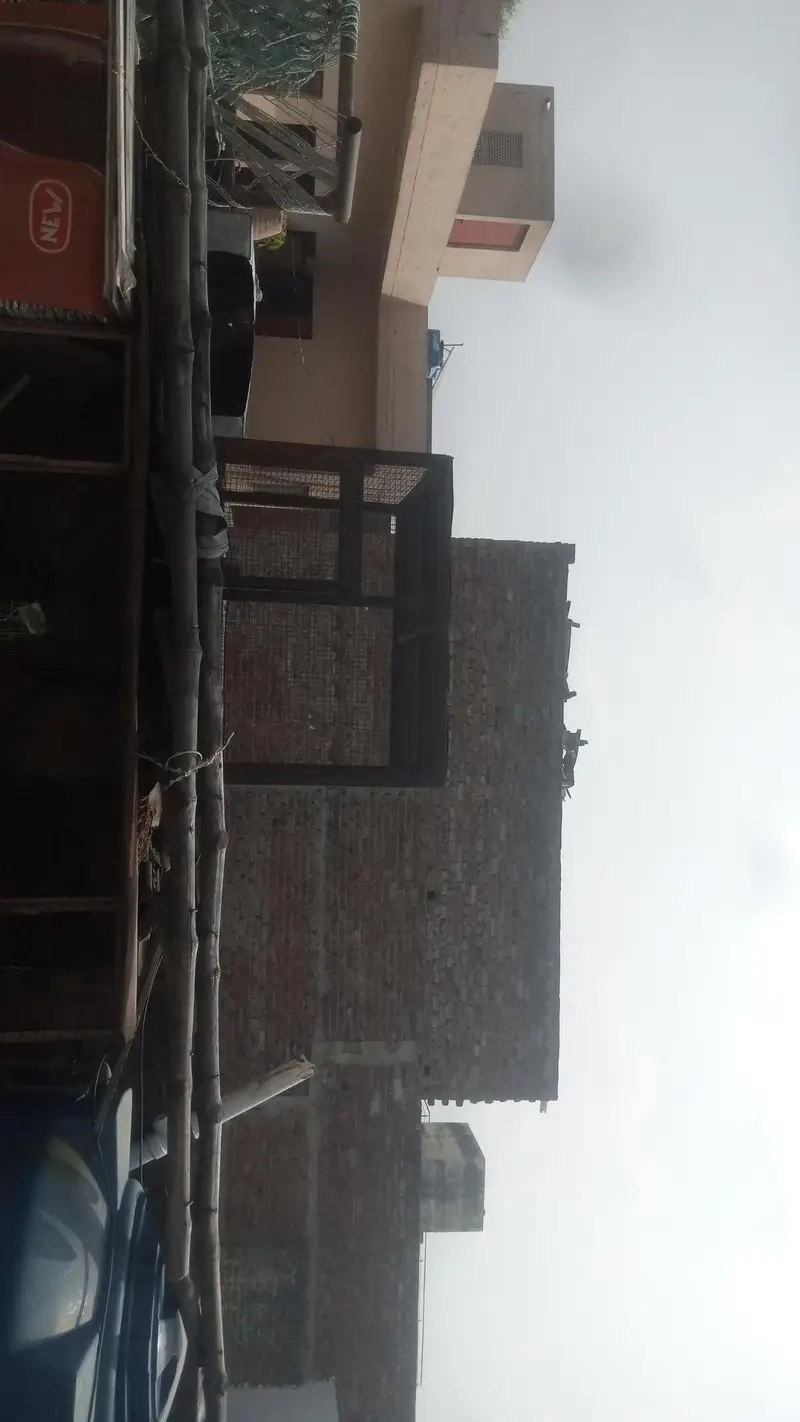 new cage hai bahut bhari hai order pe banwaya tha — photo 3