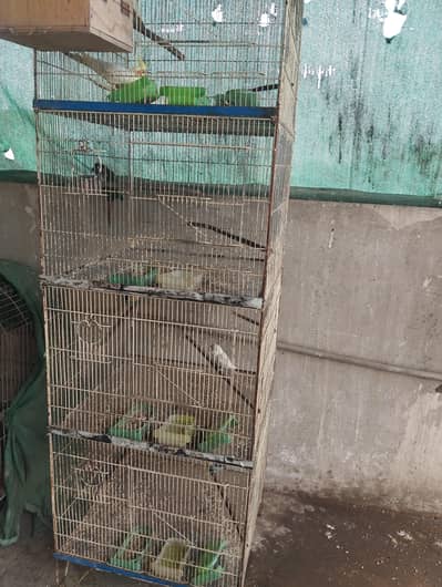 cage for sale