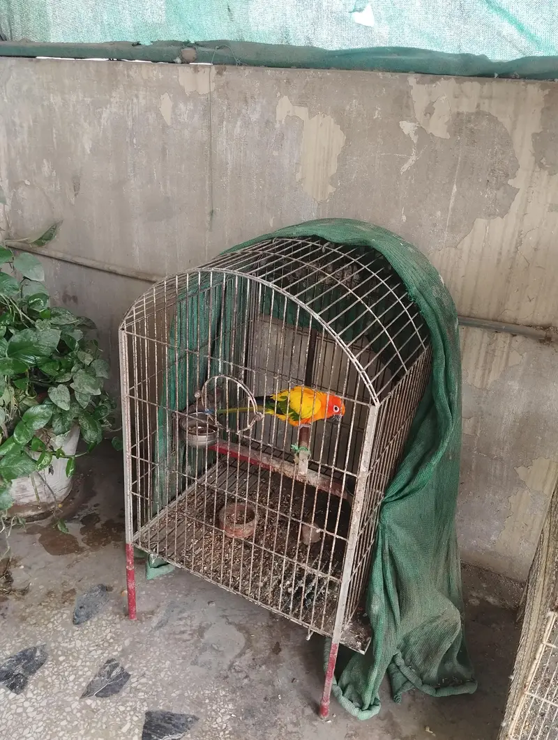 cage for sale — photo 2