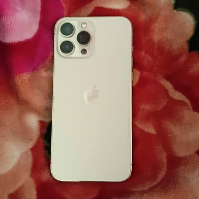 Apple iPhone 13 Pro Max