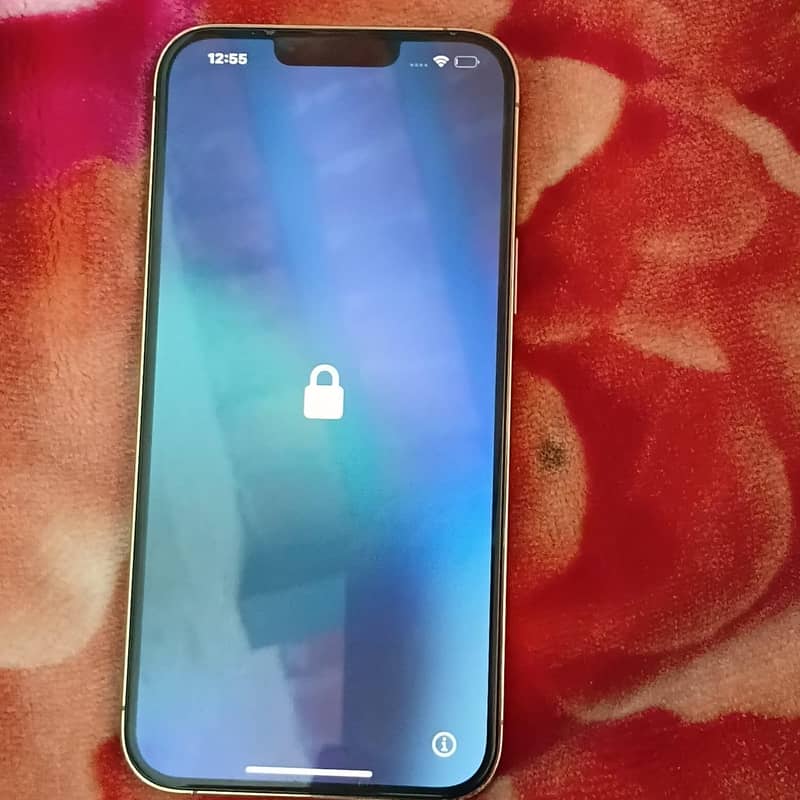 Apple iPhone 13 Pro Max 1