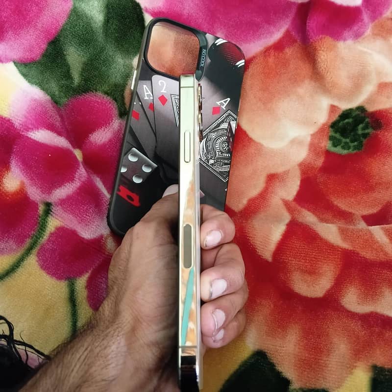 Apple iPhone 13 Pro Max 3