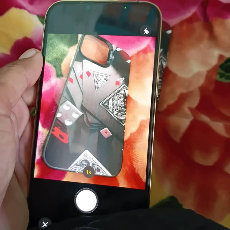 Apple iPhone 13 Pro Max 7
