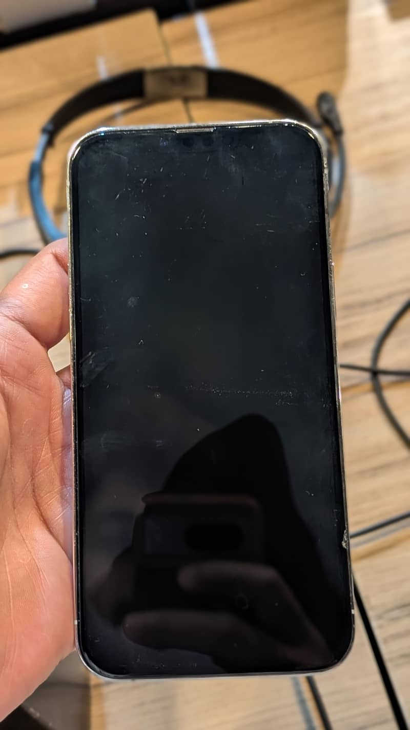 Apple iPhone 13 Pro Max 1