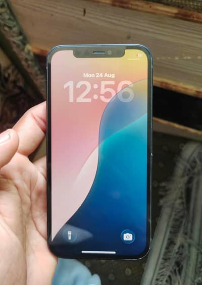 IPhone 12, Official PTA Approved