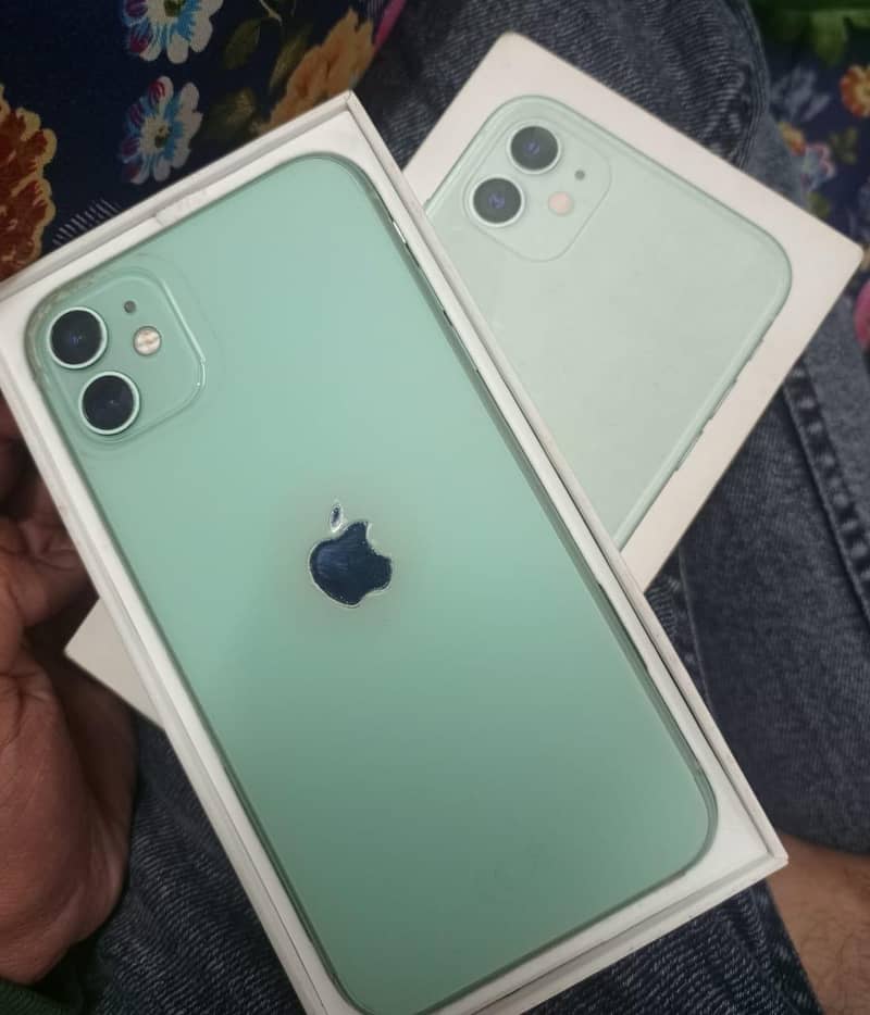 Apple iPhone 11 0