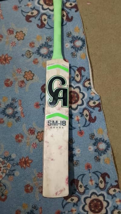 professional bats