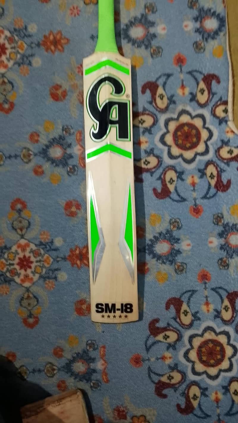 professional bats 2
