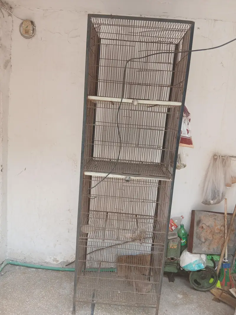 4 portion cage — photo 2