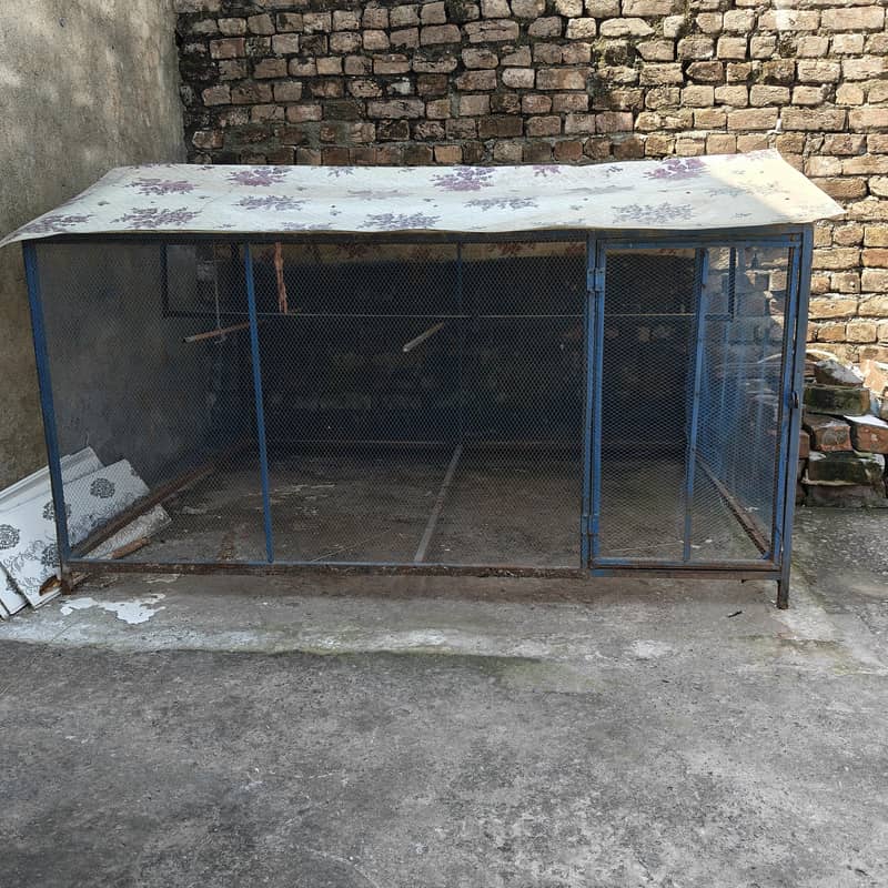 Hen Cage 1
