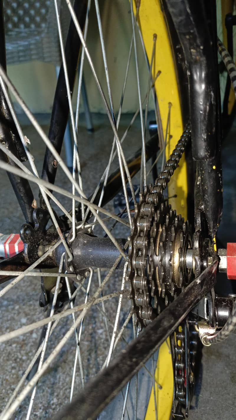 Cycle 4