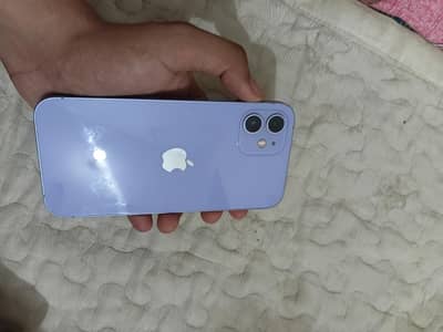 Apple iPhone 12