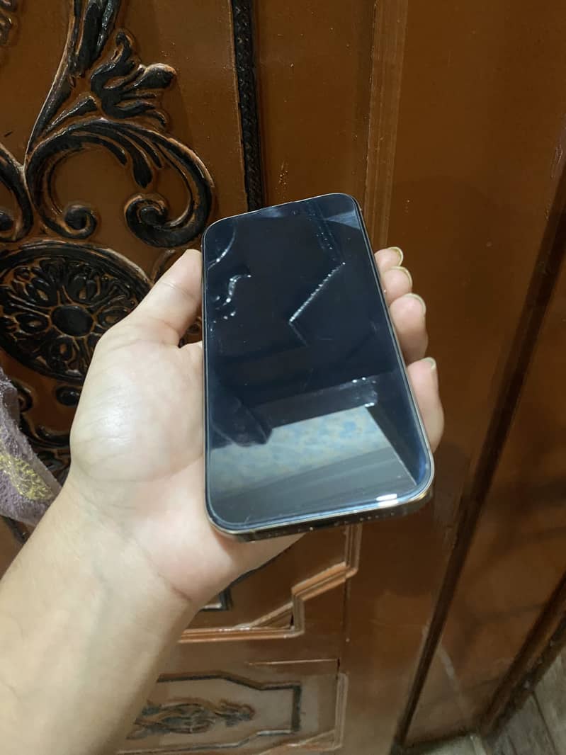 Apple iPhone 16 Pro 1