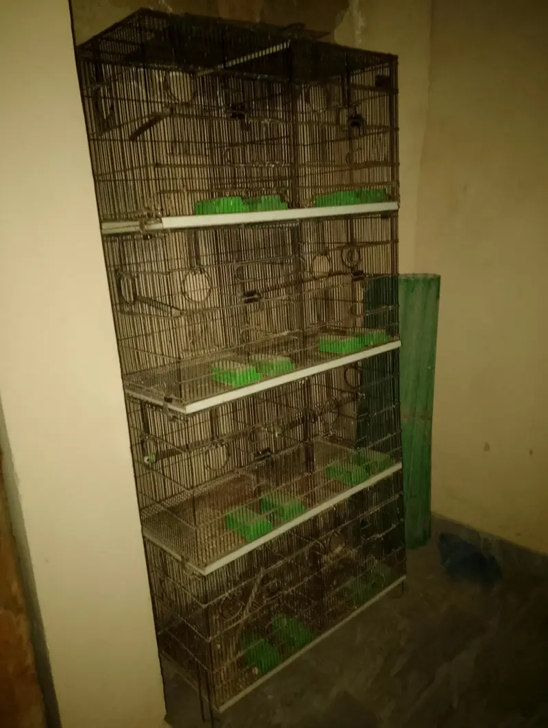 master folding cage — photo 2