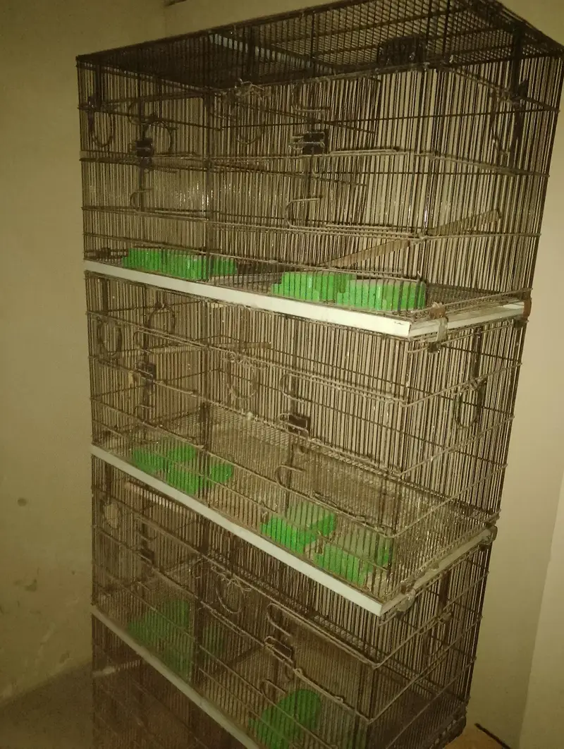 master folding cage — photo 3