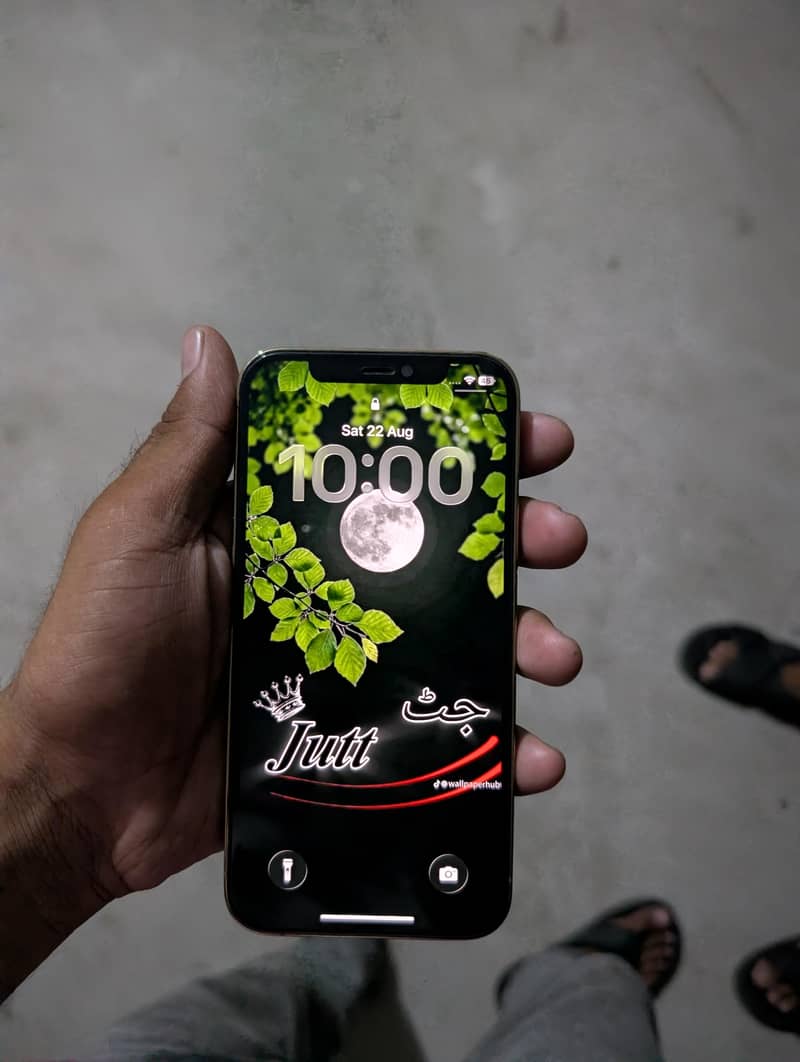 Apple iPhone 12 Pro 2