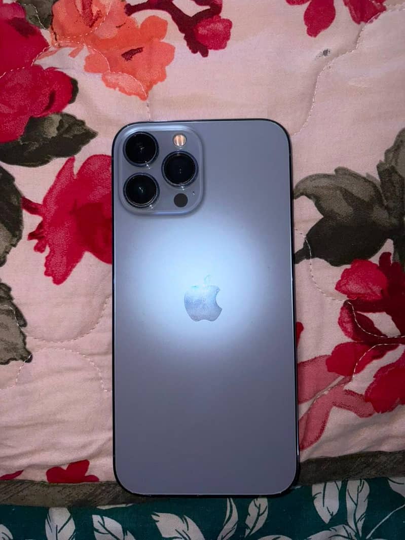 Apple iPhone 13 Pro Max 1