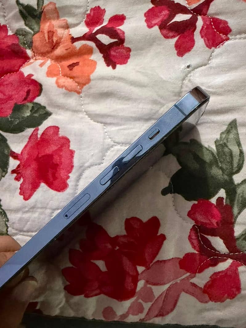 Apple iPhone 13 Pro Max 5