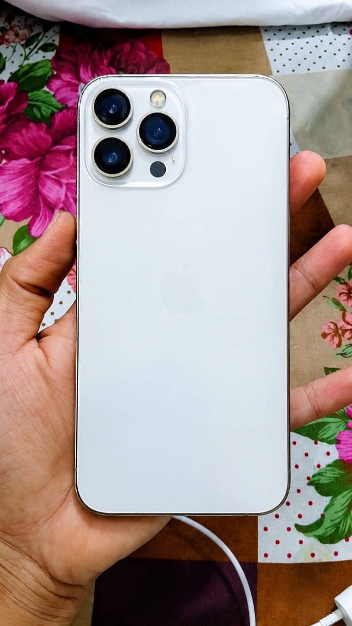 Apple iPhone 13 Pro Max 1