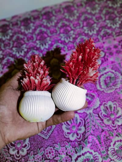 2 Mini pink Decorative plants.