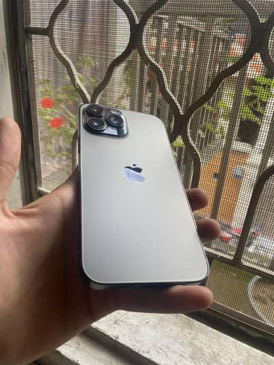 Apple iPhone 13 Pro Max