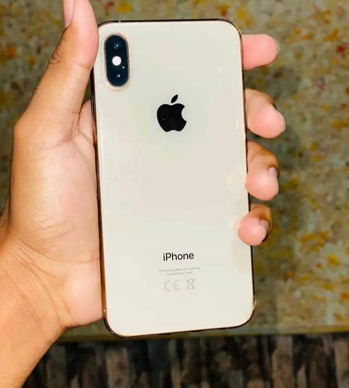 Apple iPhone XS 0