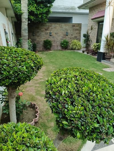 Saadi Town House For Sale 400 Sq Yd Single Story