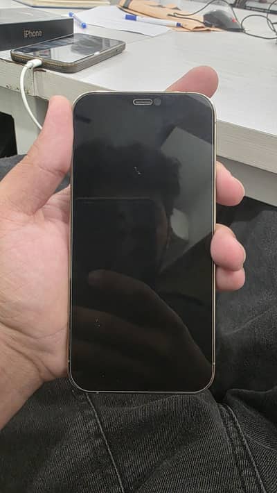 Apple iPhone 12 Pro