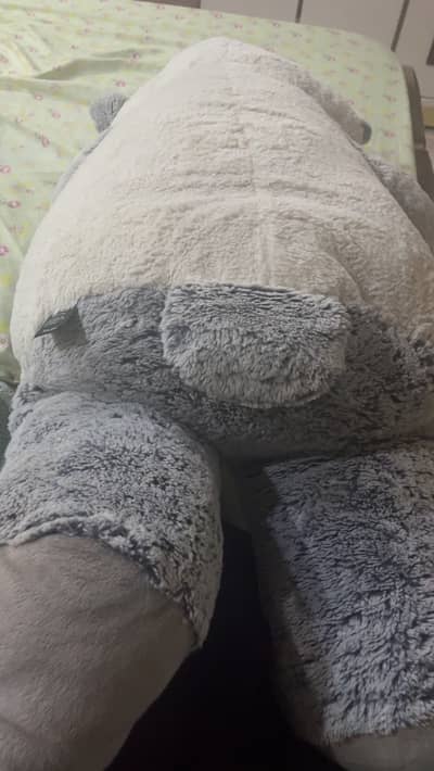 Big bear selling condition 8.5/10