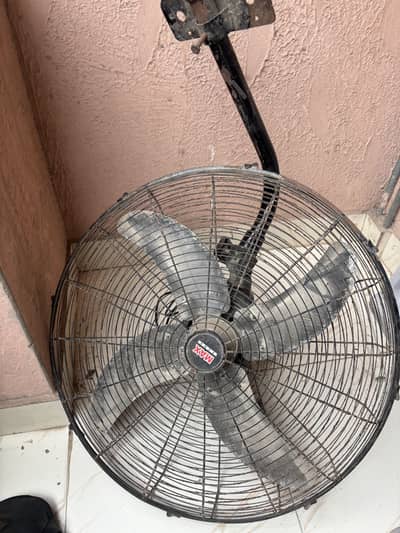new fan