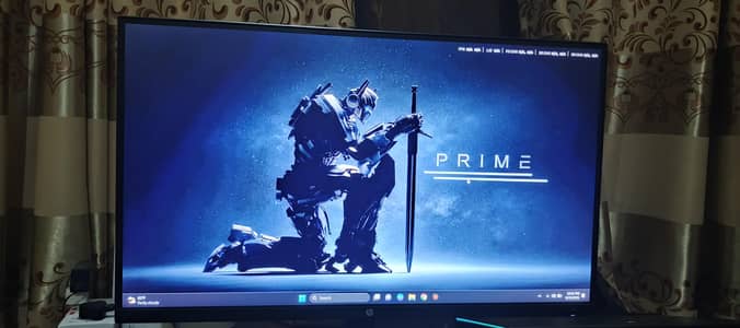 HP Monitor