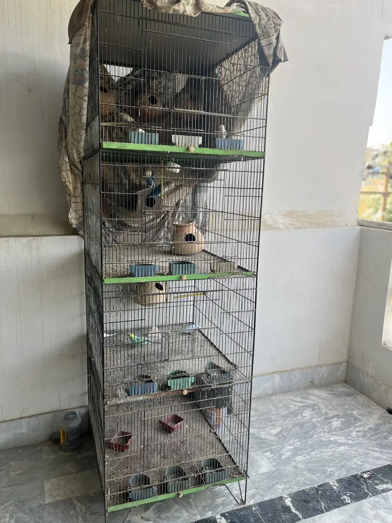 Birds Cage For Sale — photo 3