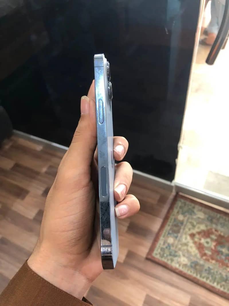 Apple iPhone 13 Pro Max 1