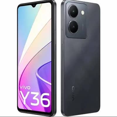 vivoy36