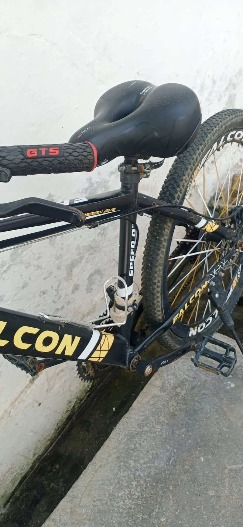 Falcon Bicycle 1