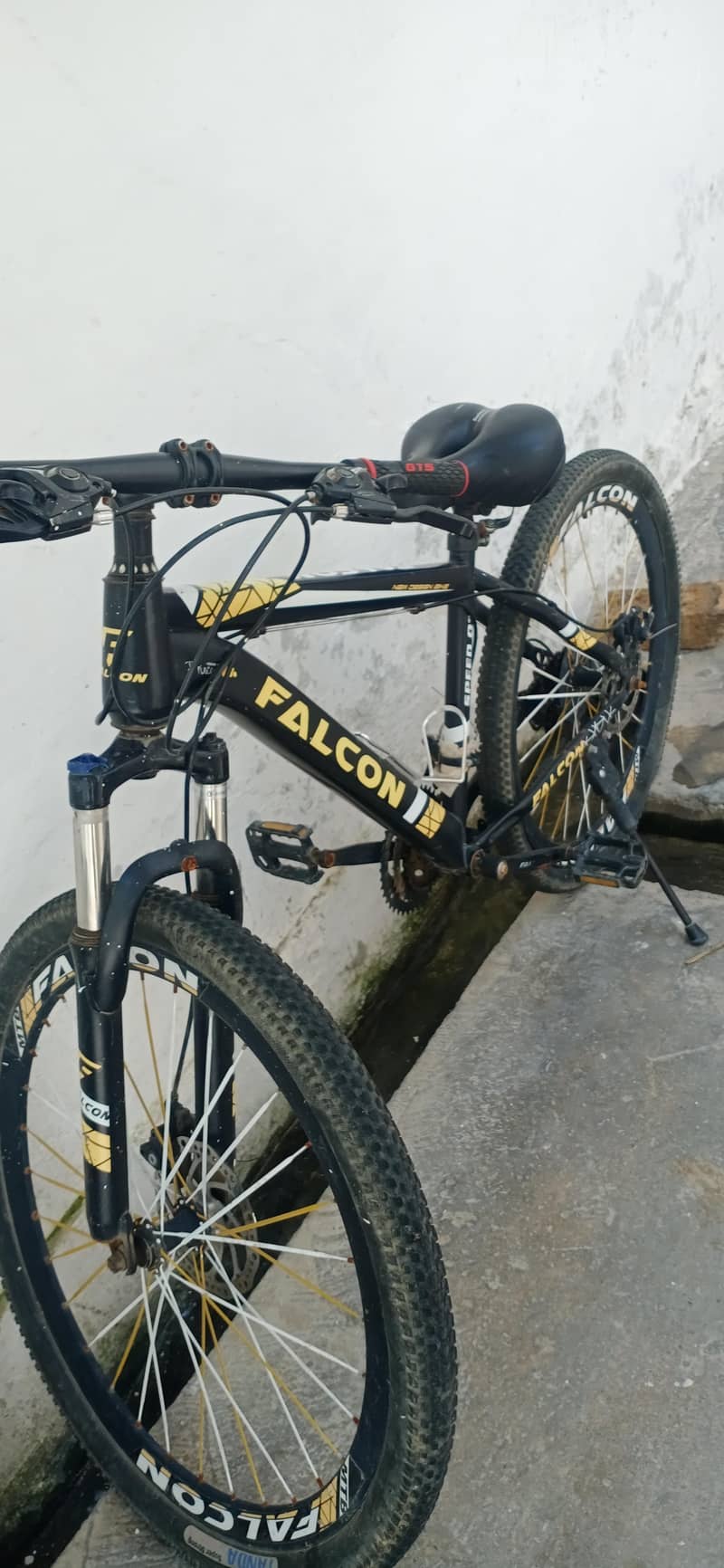 Falcon Bicycle 2