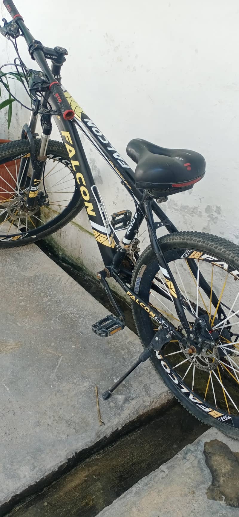 Falcon Bicycle 4