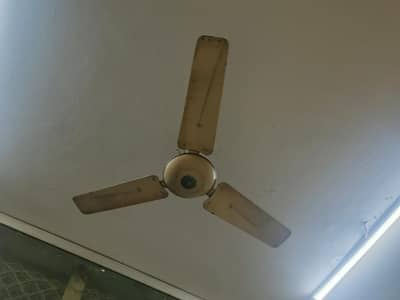 Celling Fan Sale