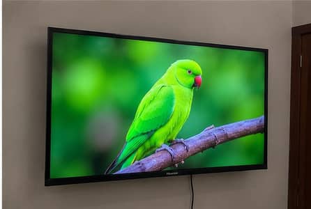 hisense 32 inch