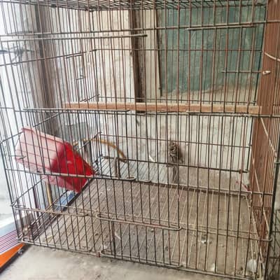Cage for sale