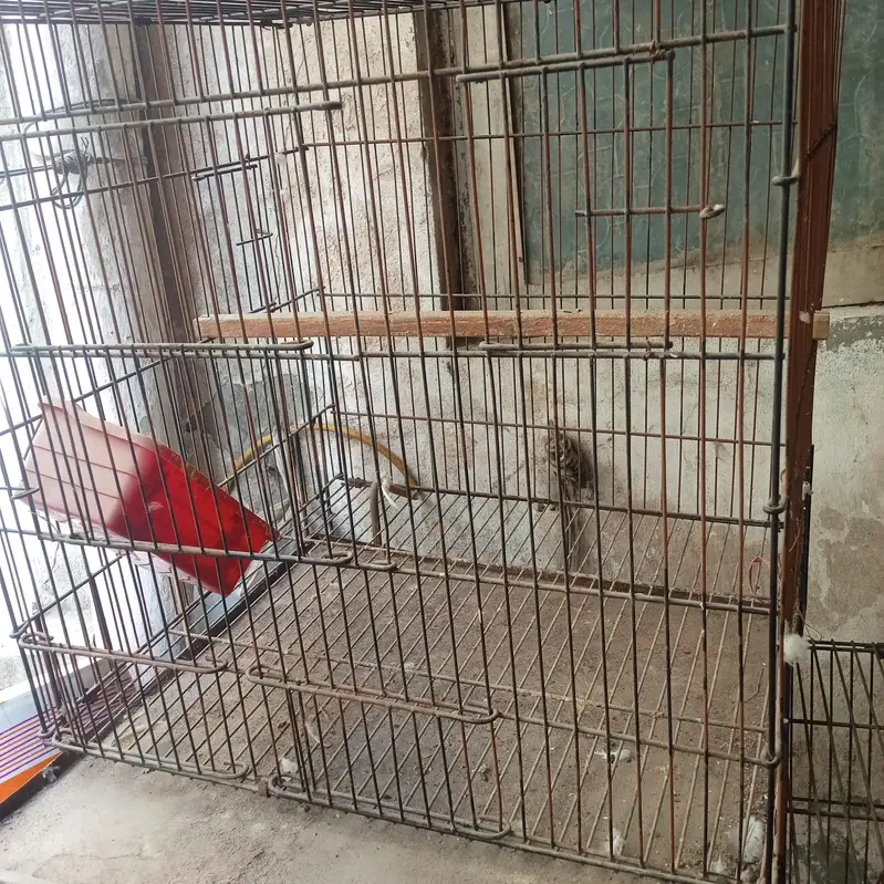 Cage for sale — photo 2