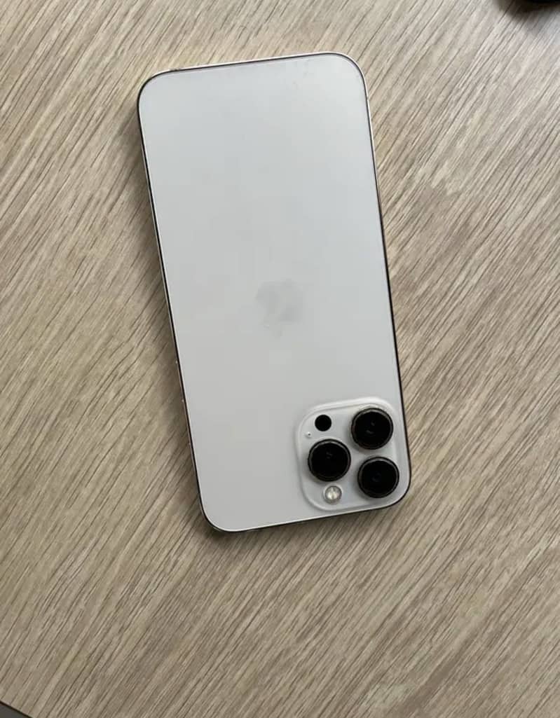 Apple iPhone 13 Pro Max 1