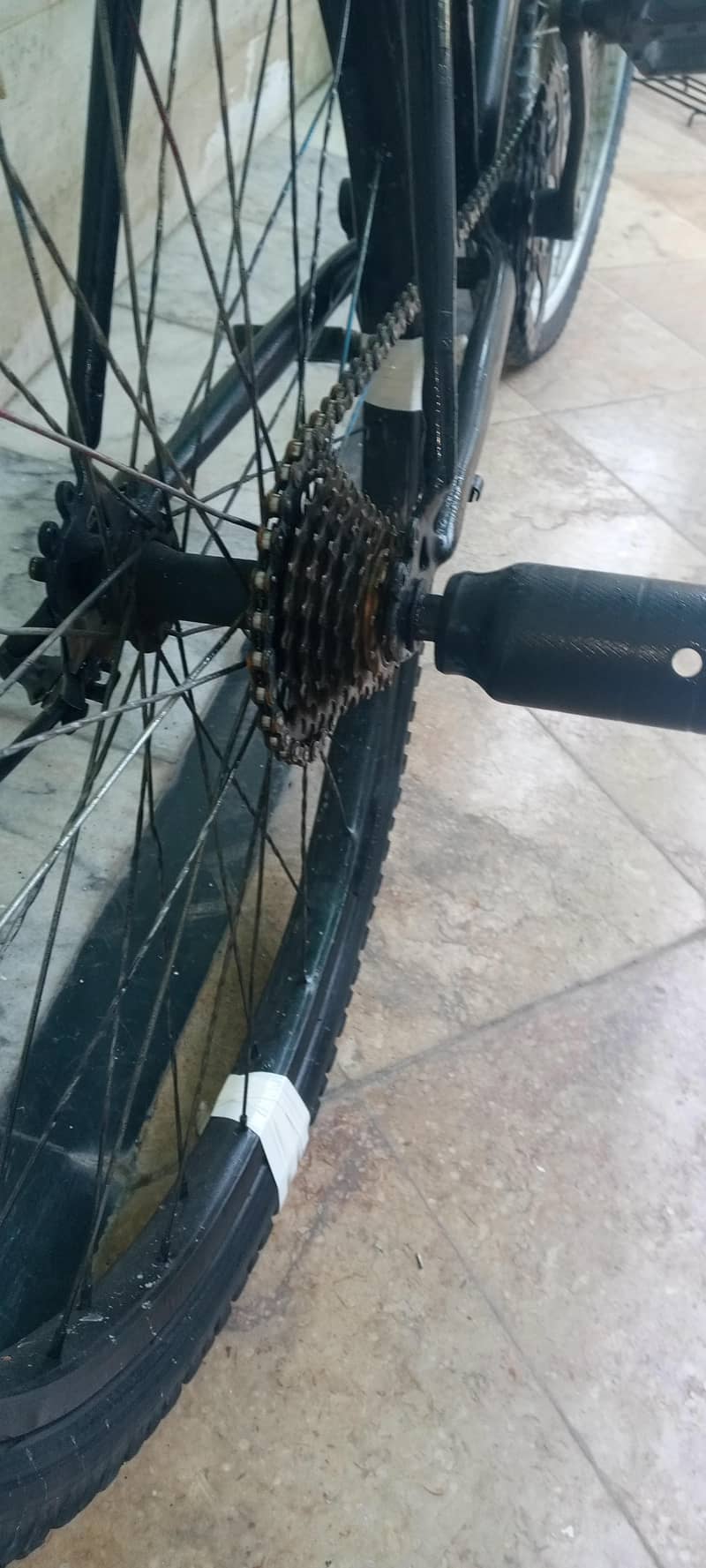 phonix cycle 5